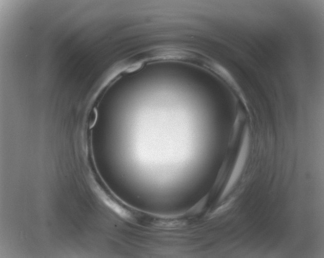 X0000083030843200702021124