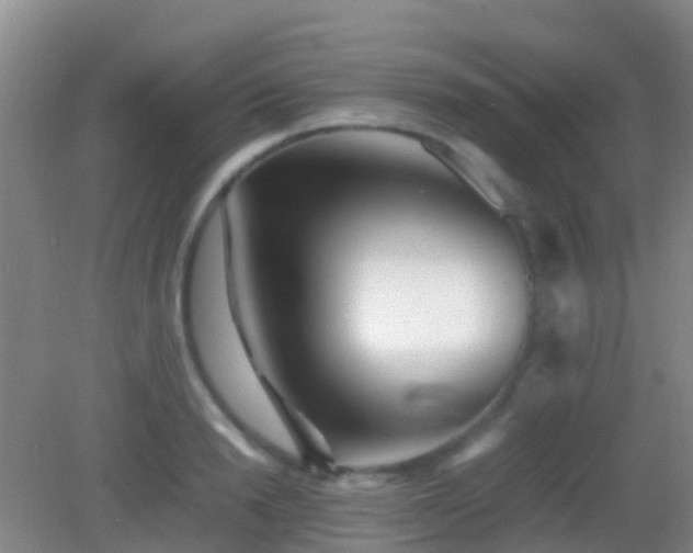 X0000083030846200702021124