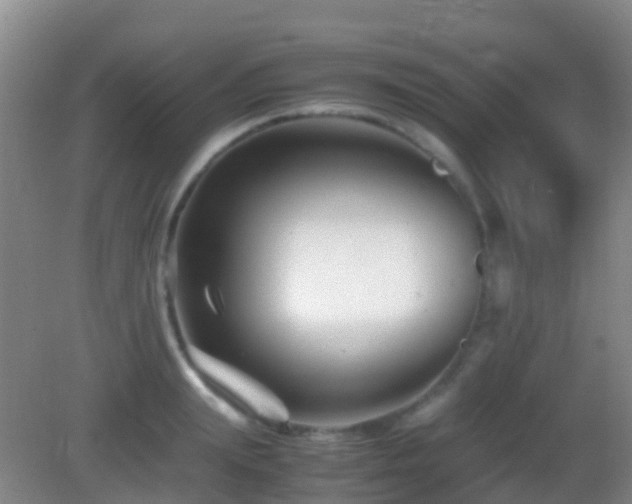 X0000083030847200702021124