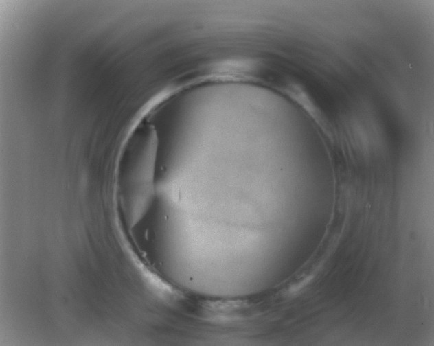 X0000083030853200702021124