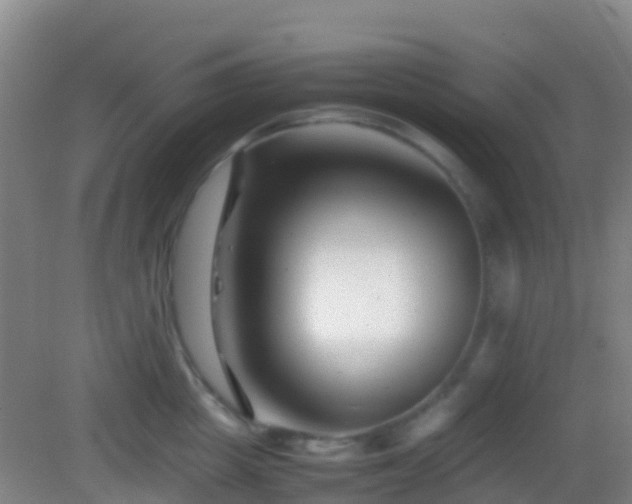 X0000083030857200702021124