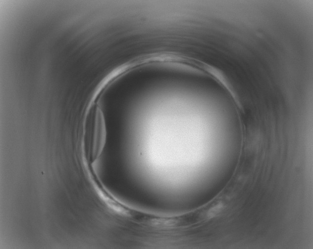 X0000083030861200702021124