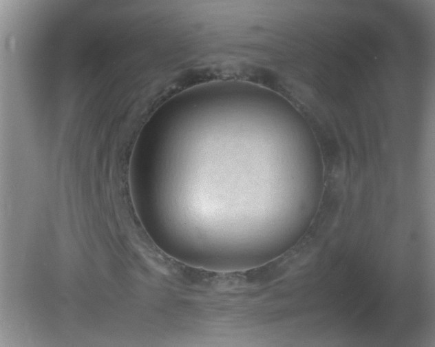 X0000083030865200702021123