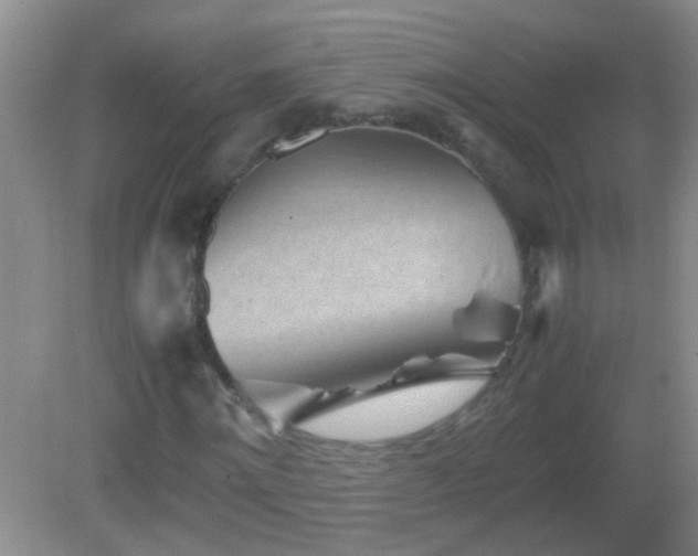 X0000083030868200702021123