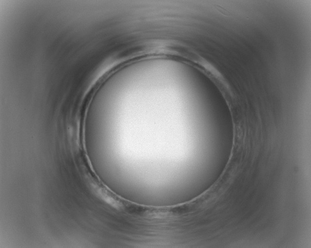 X0000083030886200702021123