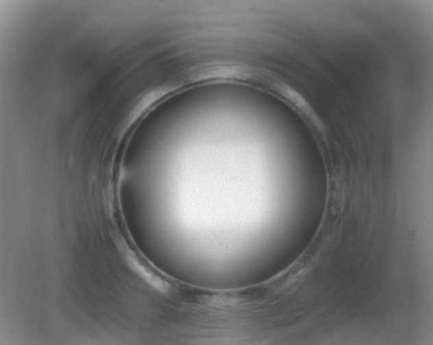X0000083030890200702021123