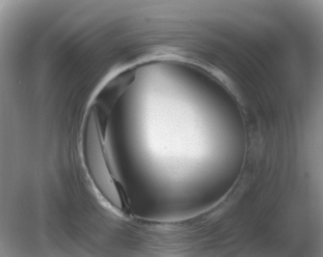 X0000083030904200702021123