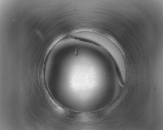 X0000083030906200702021123