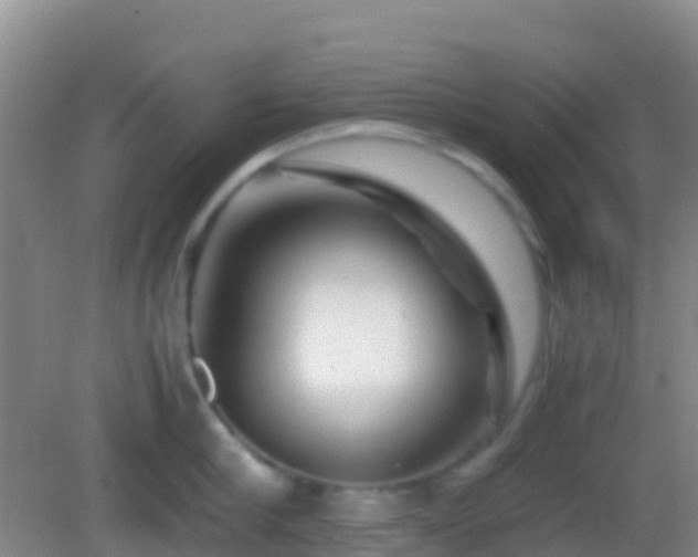 X0000083030910200702021123