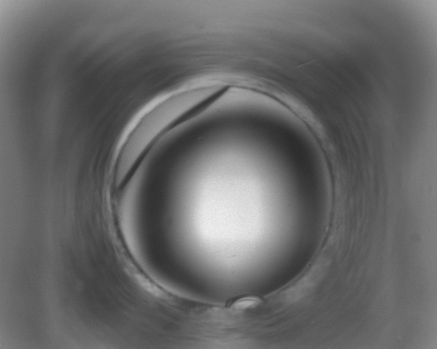X0000083030912200702021122