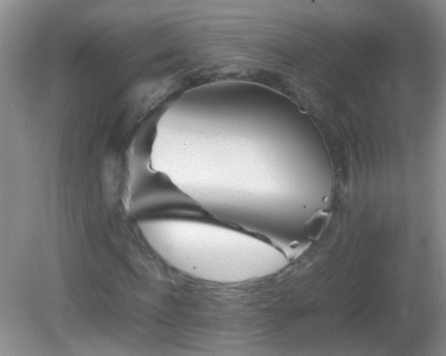 X0000083030916200702021122