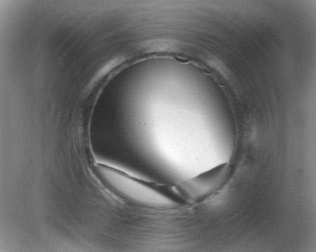 X0000083030922200702021122