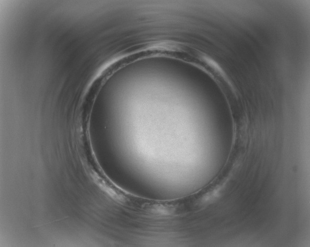 X0000083030923200702021122