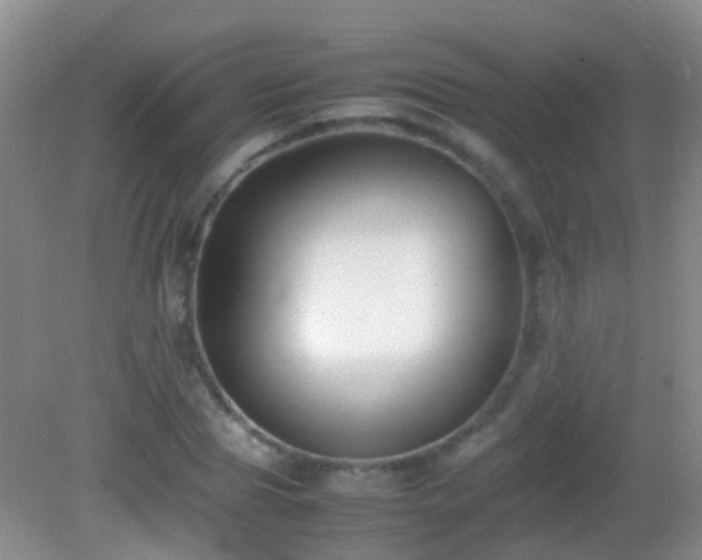 X0000083030929200702021122