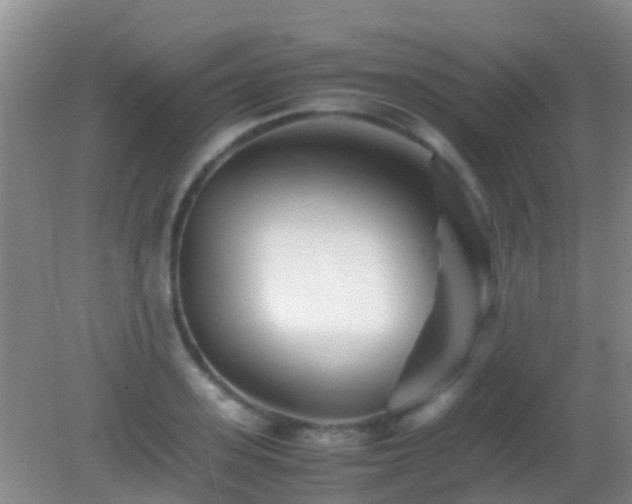 X0000083030939200702021122