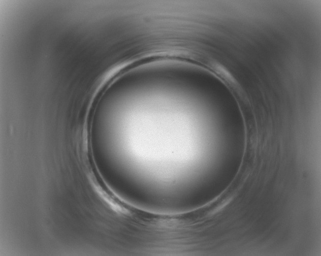 X0000083030940200702021122