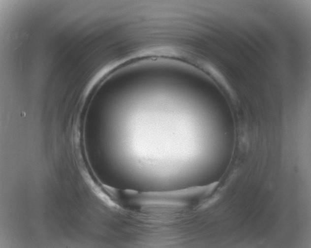 X0000083030944200702021122