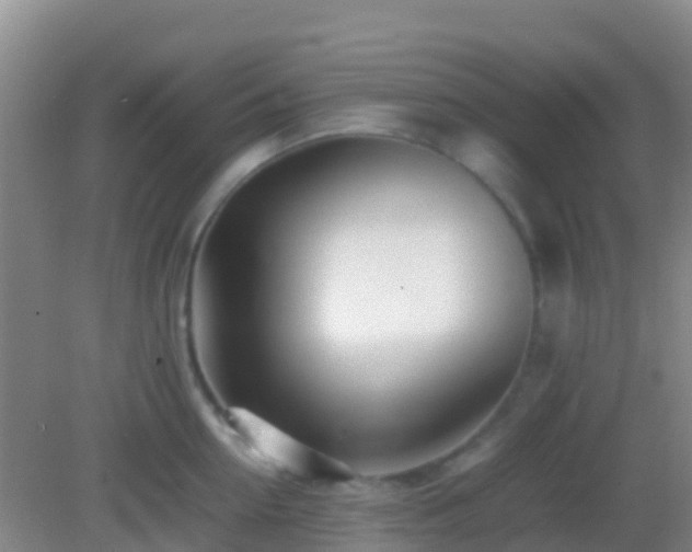 X0000083030954200702021122