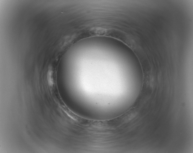 X0000083030962200702021122