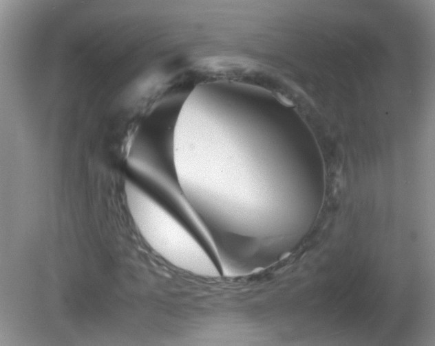 X0000083030965200702021122