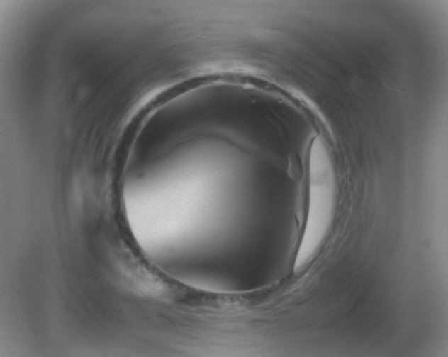 X0000083030975200702021121