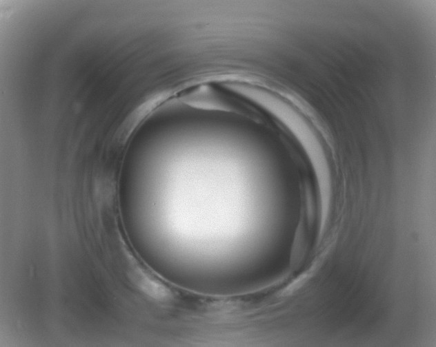 X0000083030993200702021121
