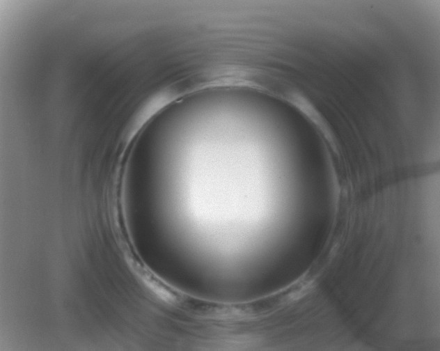 X0000083031002200702021121