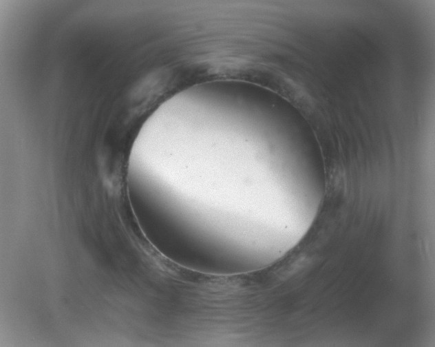 X0000083031012200702021120