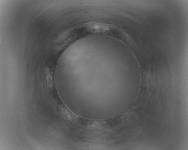X0000083031013200702021120