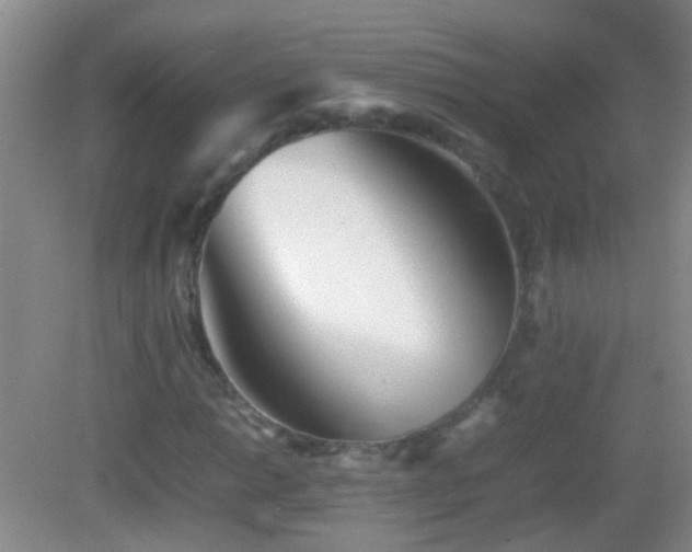 X0000083031014200702021120
