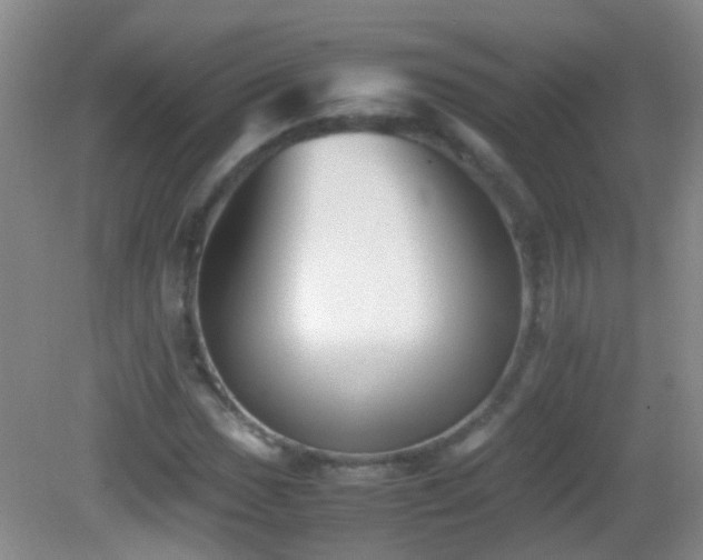 X0000083031017200702021120