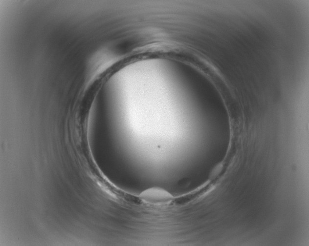 X0000083031018200702021120