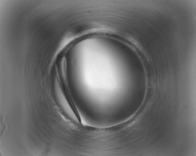 X0000083031022200702021120