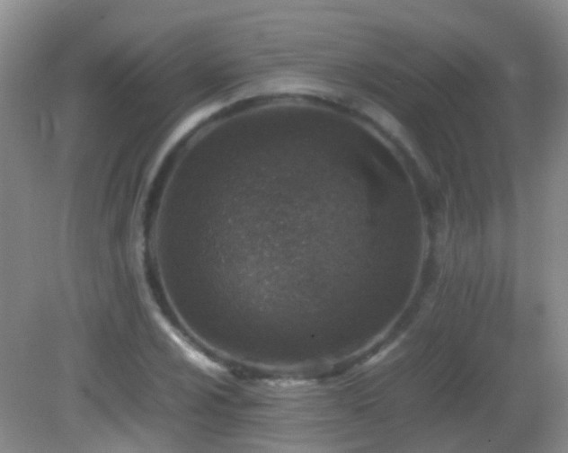 X0000083031024200702021120