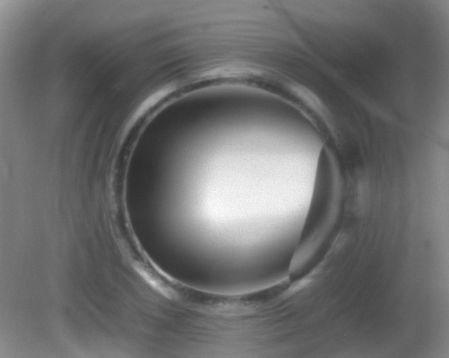 X0000083031026200702021120