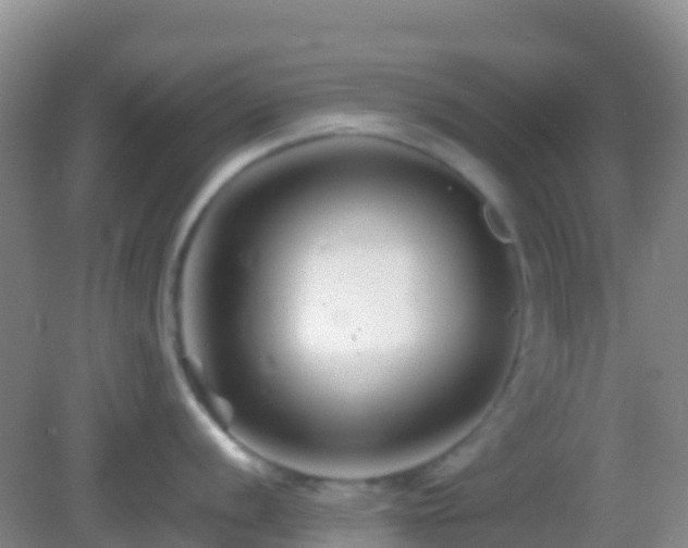 X0000083031056200702021121