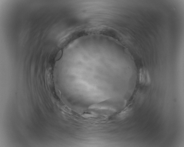 X0000083031059200702021120