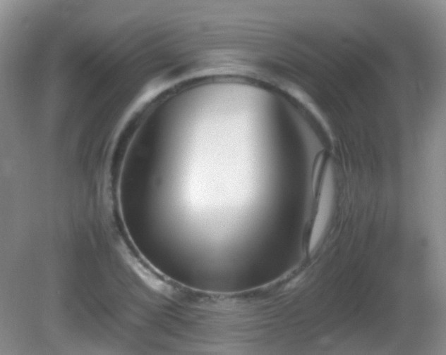 X0000083031072200702021120
