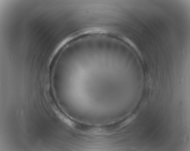X0000083031075200702021120