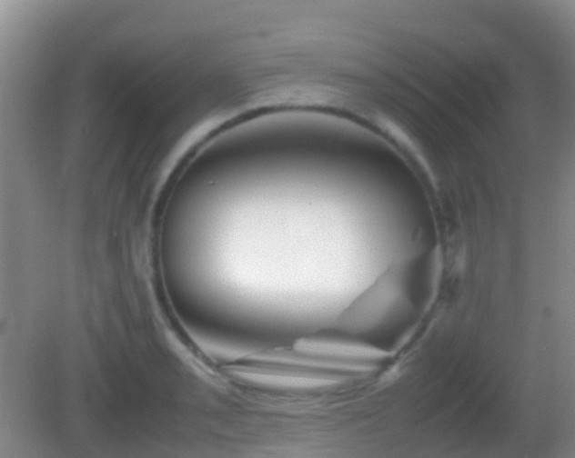 X0000083031085200702021120
