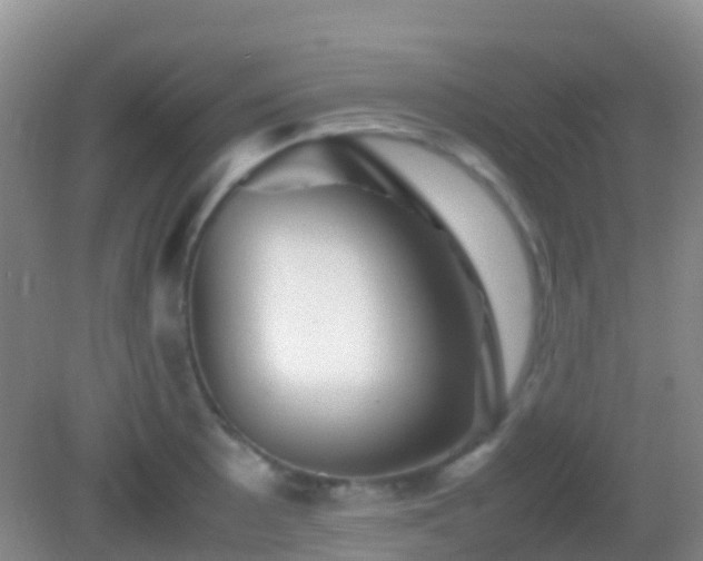 X0000083031089200702021120