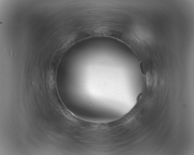 X0000083031107200702021118