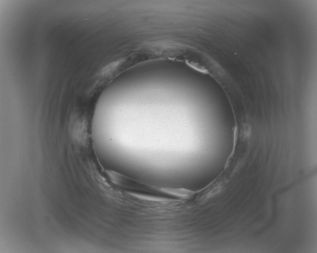 X0000083031108200702021119