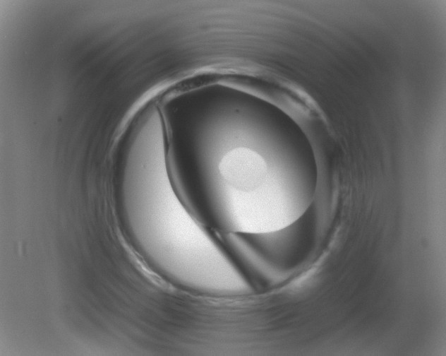 X0000083031114200702021119