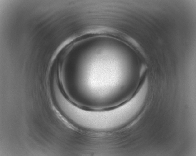 X0000083031122200702021119