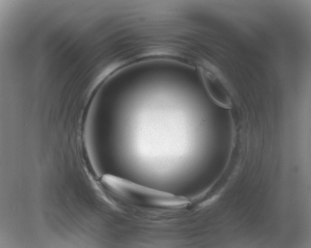 X0000083031129200702021119