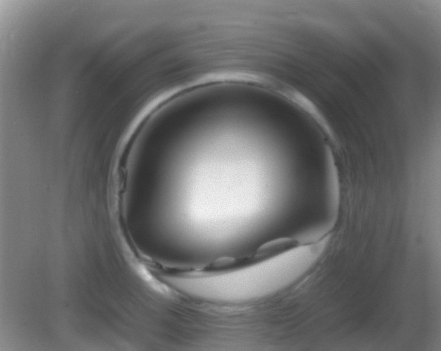 X0000083031140200702021119