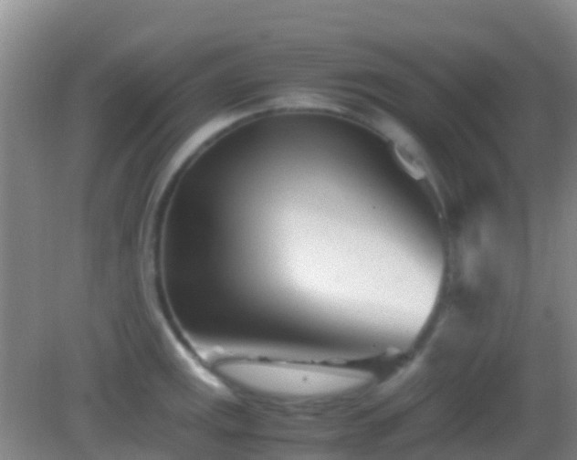 X0000083031141200702021119