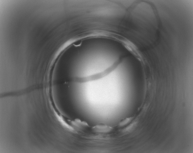 X0000083031143200702021119
