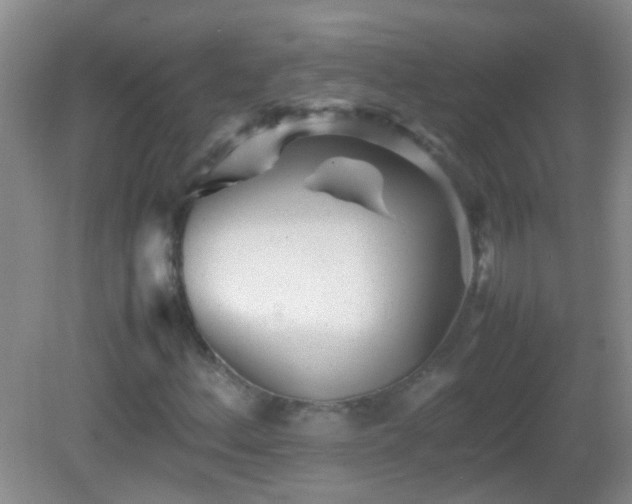 X0000083031156200702021118